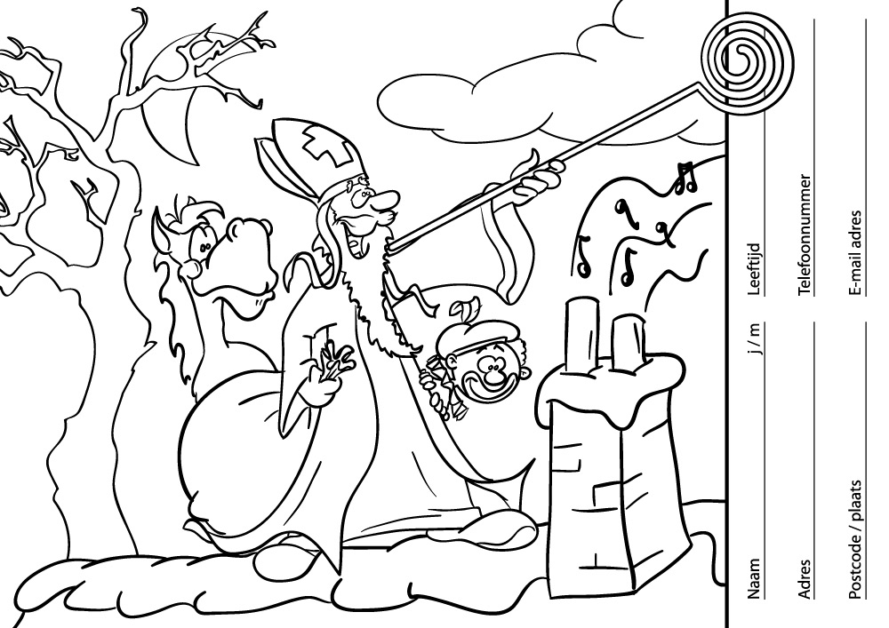 Sinterklaas op het dak